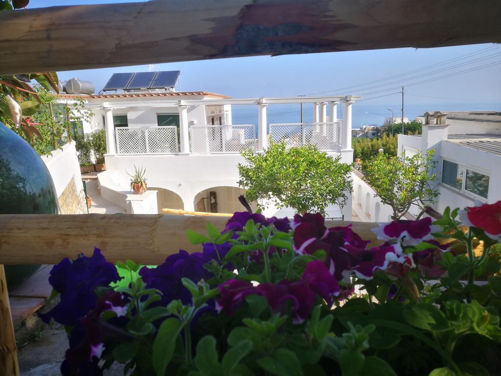 Villa Patrizi Capri Ngoại thất bức ảnh